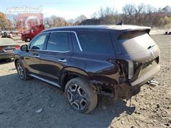 هيونداي باليسيد